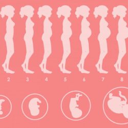As Posições do Bebê na Barriga Durante a Gestação