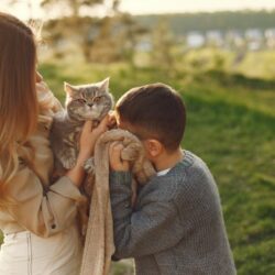 Deseja ter um Gato com Crianças em casa consideracoes