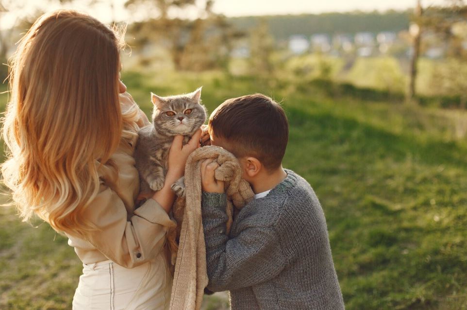 Deseja ter um Gato com Crianças em casa consideracoes