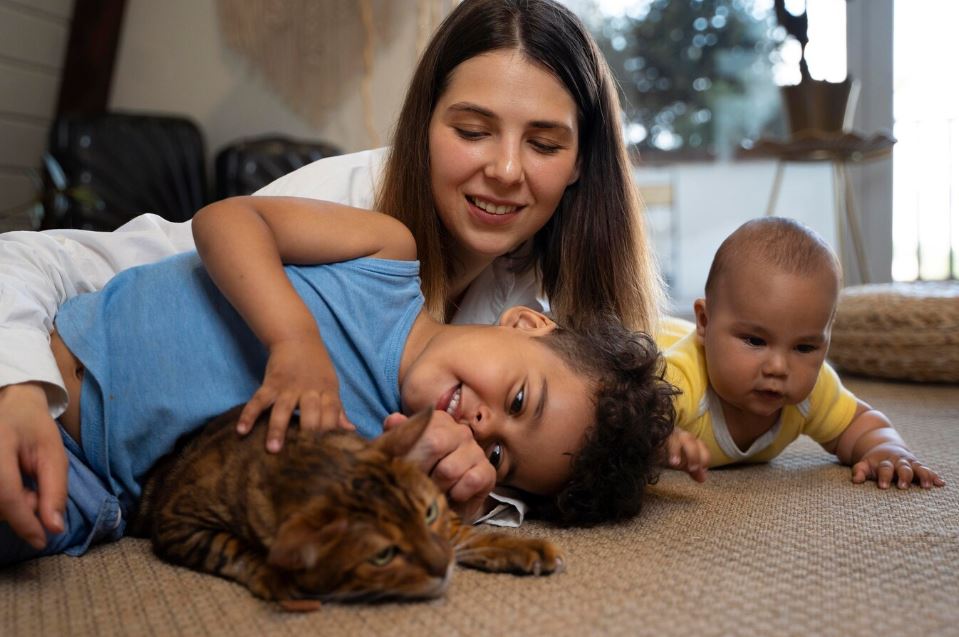 Deseja ter um Gato com Crianças em casa? Leia este artigo